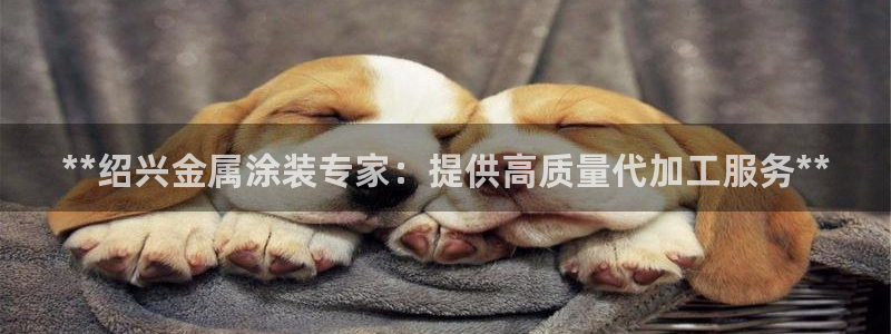 美高梅酒店在哪些城市有