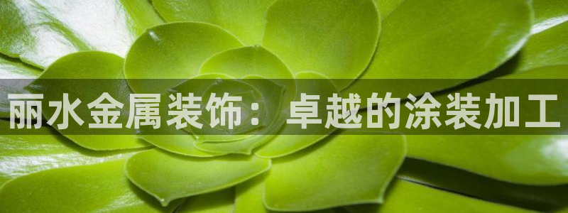 美高梅北京项目