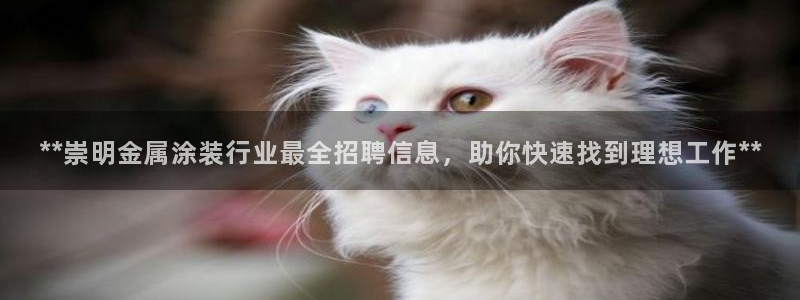 美高梅档次