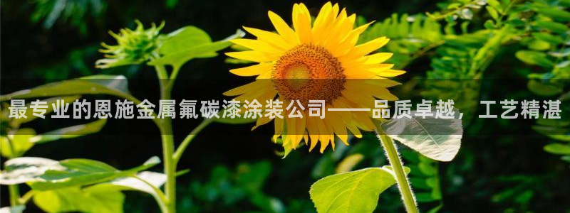 美高梅怎么打不开了