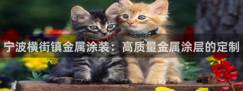 美高梅公寓租房