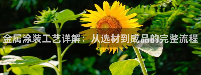 美高梅会员卡通用吗怎么用