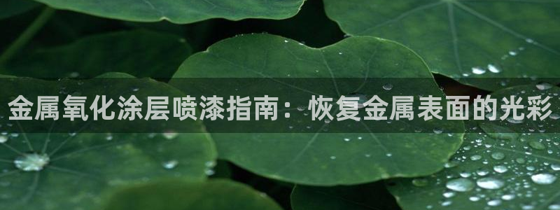 美高梅官方版app充值