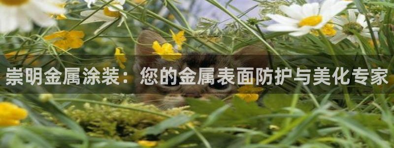 美高梅会员卡办理要提供港澳通行证吗