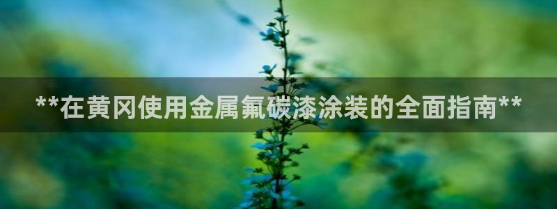 美狮美高梅早餐价格