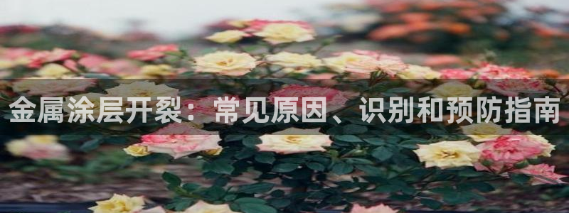 美狮美高梅酒店跟铁塔近吗