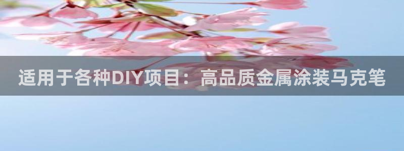 美高梅酒店旗下