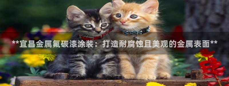 美高梅酒店vogue杂志