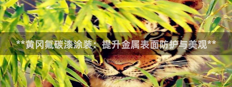 美高梅如亿掌