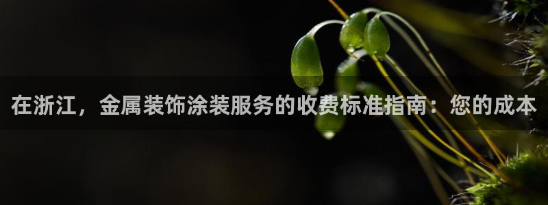 美高梅开业时间