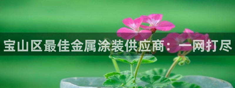 美高梅国际酒店集团十大股东