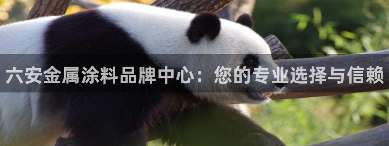 美高梅吧