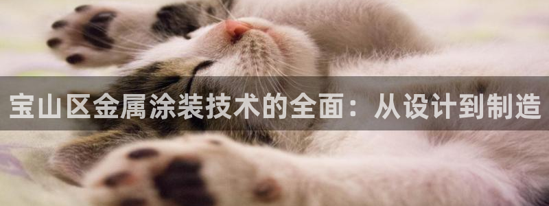 美高梅属于什么档次