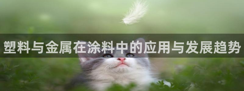 美高梅mgm集团4688打不开