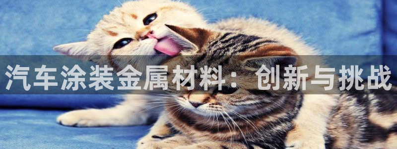 美高梅股票股价