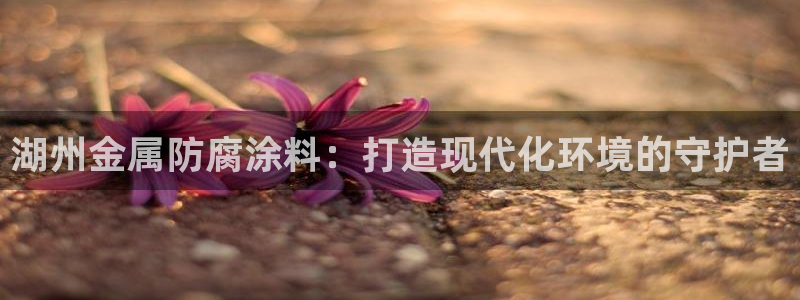 美高梅全国有几家