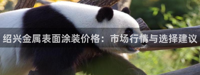 美高梅空气炸锅怎么样好用吗