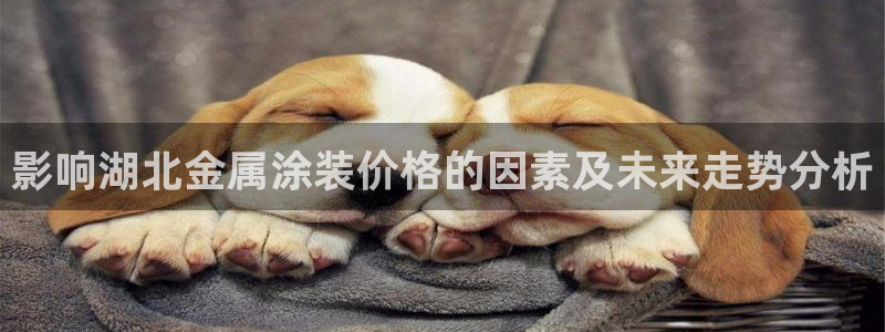 美高梅酒店青岛12888自助