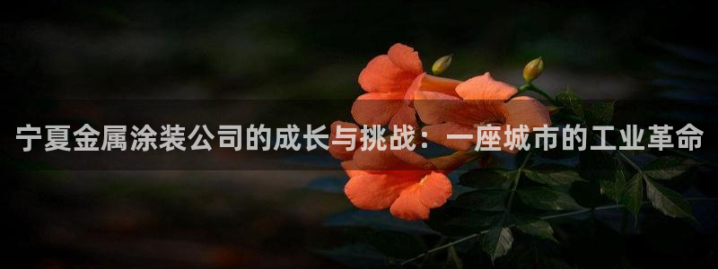 美高梅和美狮美高梅有什么区别