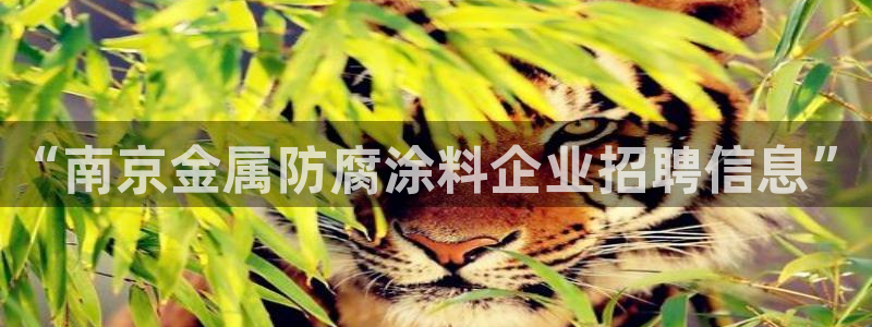美高梅会员卡级别分类图片