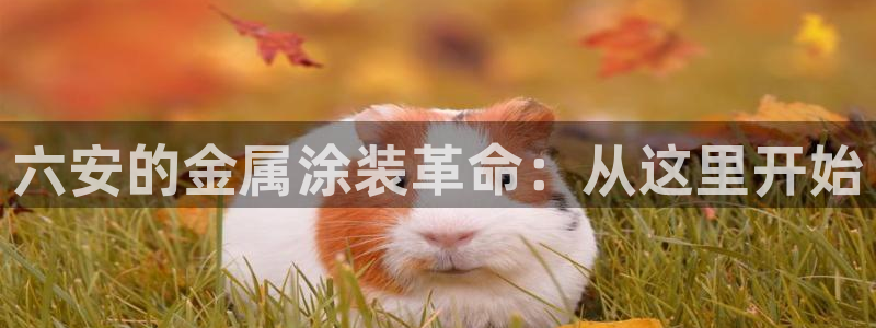 02282美高梅股票