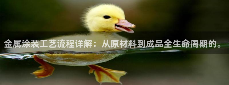 美高梅是何超琼创立的吗