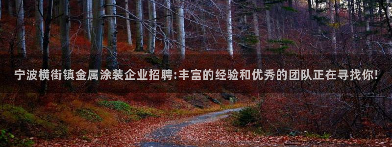 美高梅投资是真的吗
