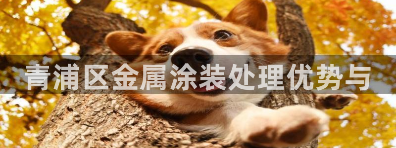 美高梅被收购：青浦区金属涂装处理优势与