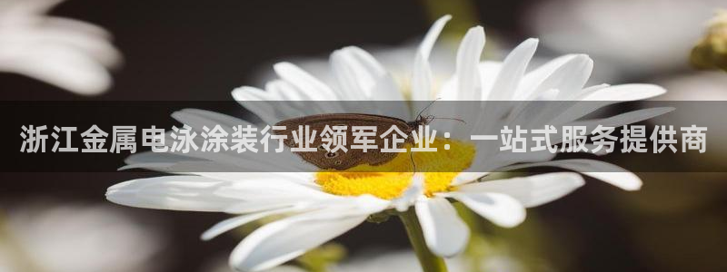 澳门的美高梅是谁的