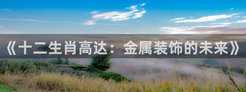 三亚美高梅酒店老板是谁
