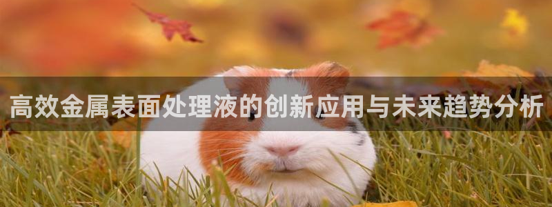 美高梅儿童乐园收费