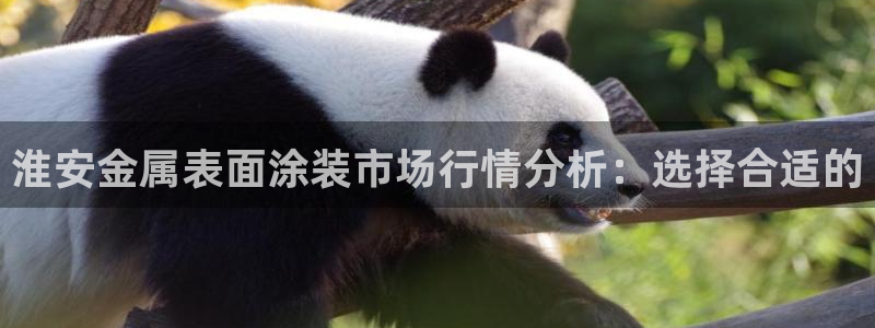 美高梅黑卡条件