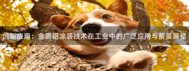 美高梅酒店老板是谁