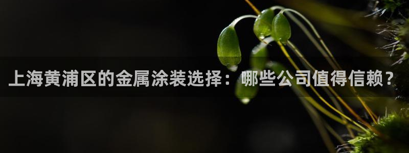 美高梅酒店分布