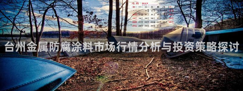 美高梅公司的业务范围