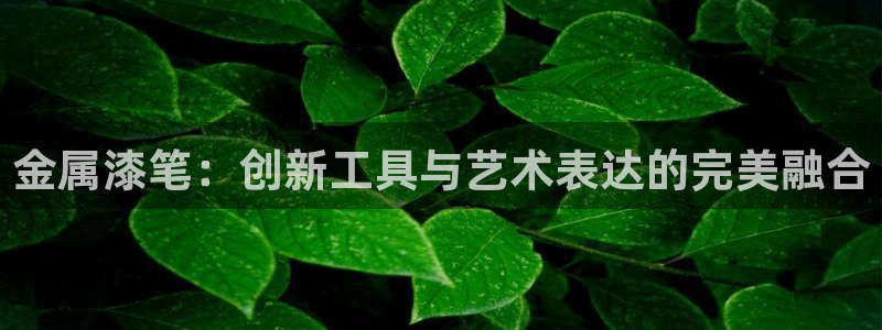 美高梅在澳门有几家