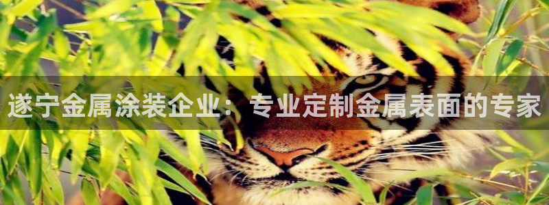 美高梅酒店冰箱饮料是免费的吗
