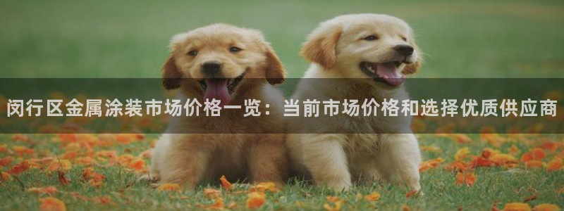 澳门新开美高梅的酒店