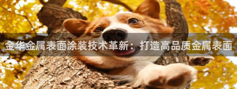 美高梅官网招聘