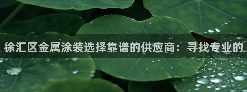 美狮美高梅酒店设计师