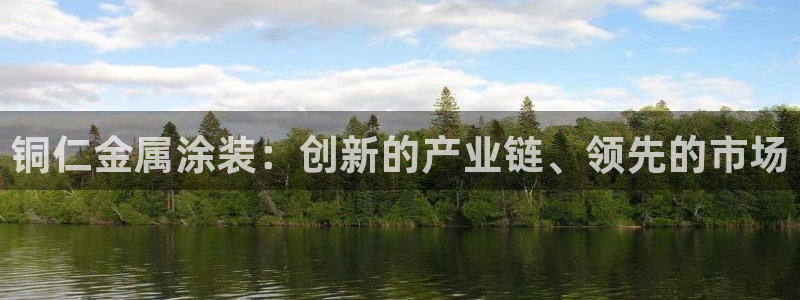 美狮美高梅酒店香氛：铜仁金属涂装：创新的