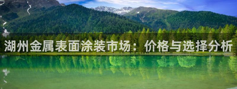 美高梅公司简介怎么写