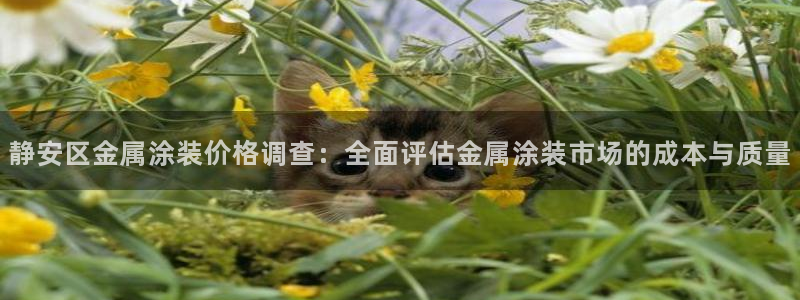 美高梅水疗怎么样：静安区金属涂装价格调查
