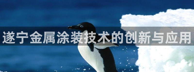 美高梅枪案小杰
