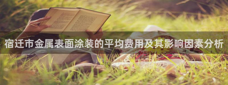 美高梅下载苹果版：宿迁市金属表面涂装的平