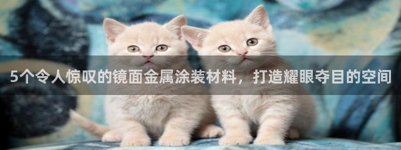 美高梅会员卡级别分类图片：5个令人惊叹的