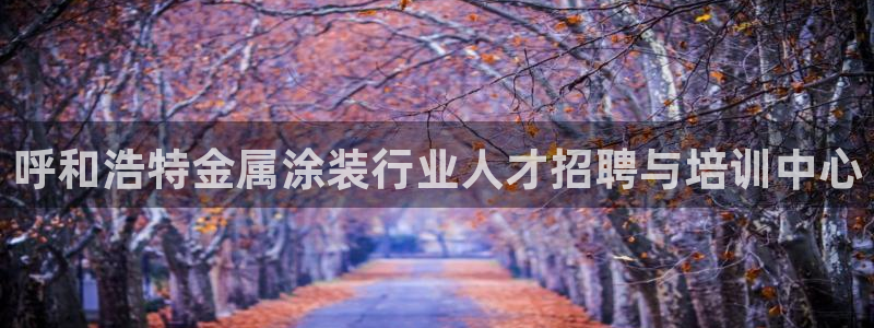 鲁能钓鱼台美高梅loft