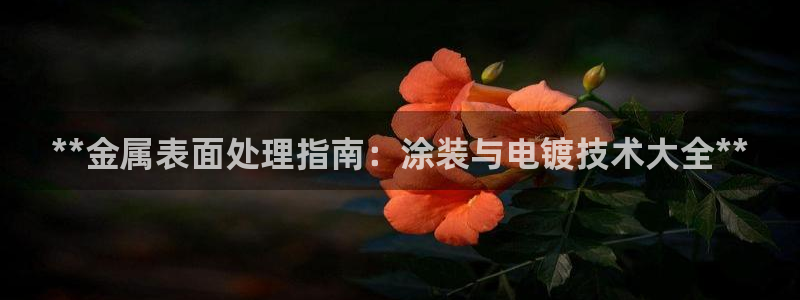 美高梅中国股票2282