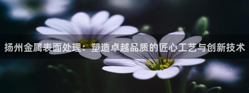 美高梅的狮子是纯金的吗