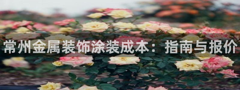 美高梅会员卡等级